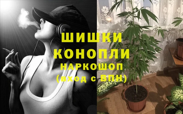 spice Михайловка