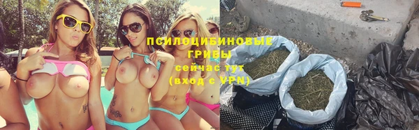 a pvp Михайловск